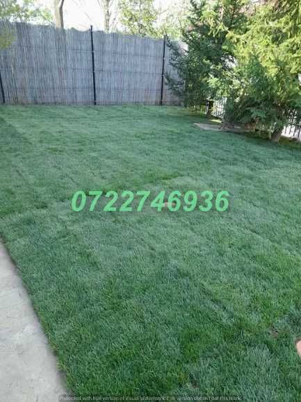 Gazon Natural cu Prindere Rapidă și Aspect Premium