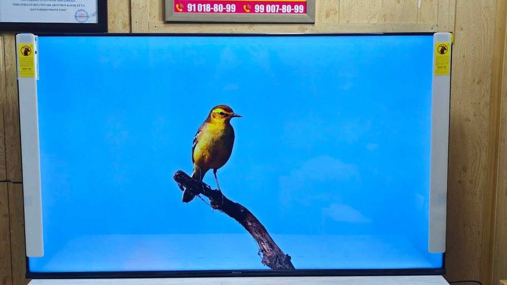 телевизор Hisinse 55"