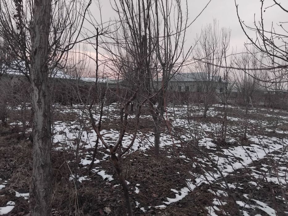 Yer uchaska sotiladi