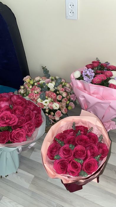 новые,  свежие цветы