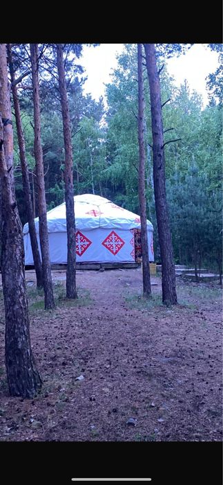 Юрта сдам в аренду