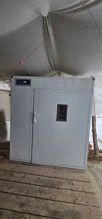 Kelishiladi inkubator