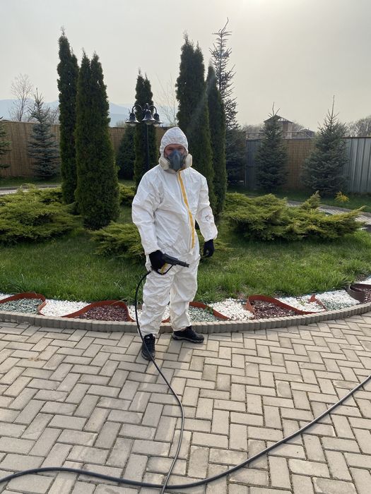 Опрыскивание деревьев.