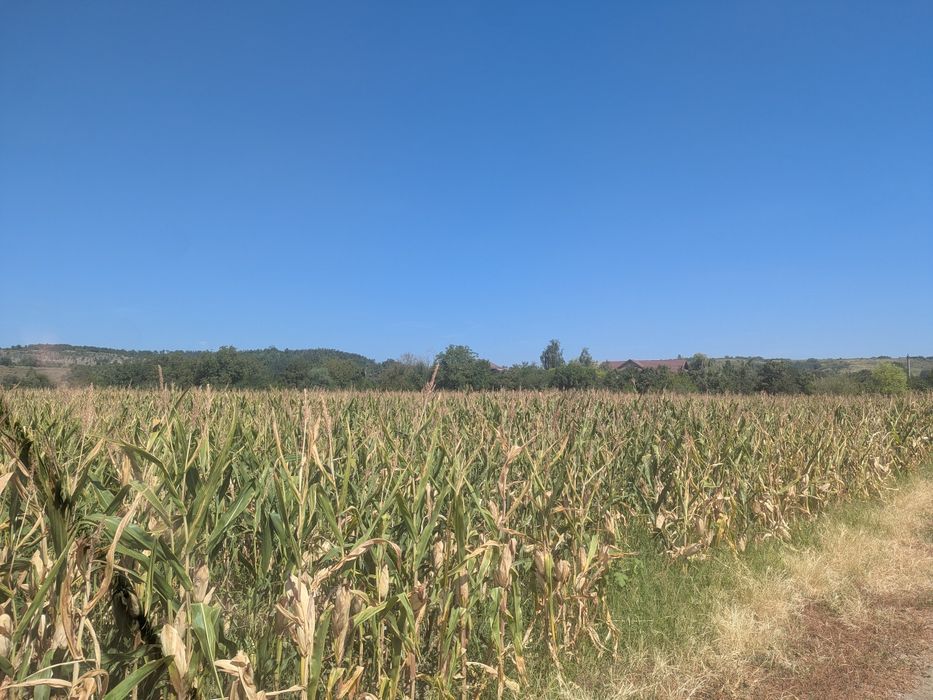 Teren Razvad  strada Campului