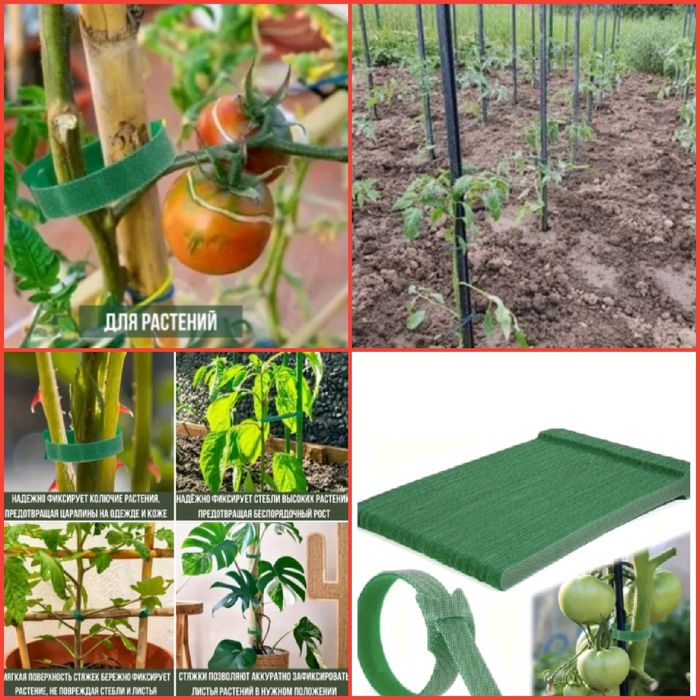 Хозяйственные работы в огороде