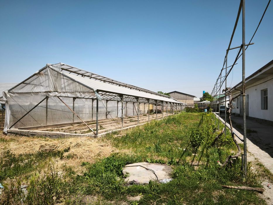 Yu  Продаётся участок 1.11га , Зангиатинский р-н, п.Кахрамон