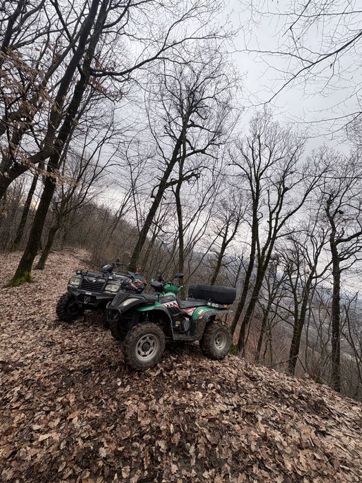 Vand linhai anniversary 300