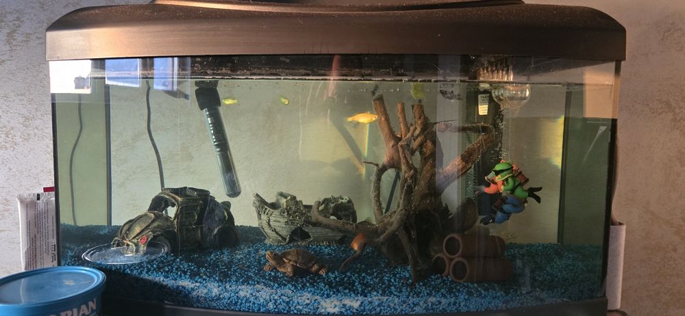 Acvariu cu pesti și accesori