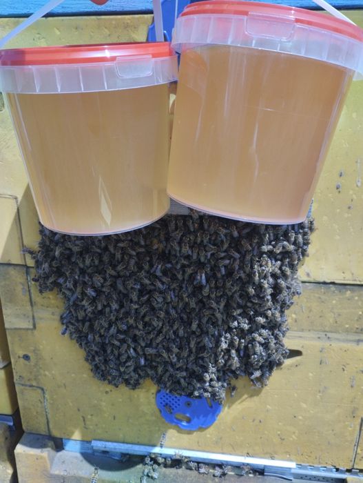 Мёд 100% качества ,с личной пасеки !