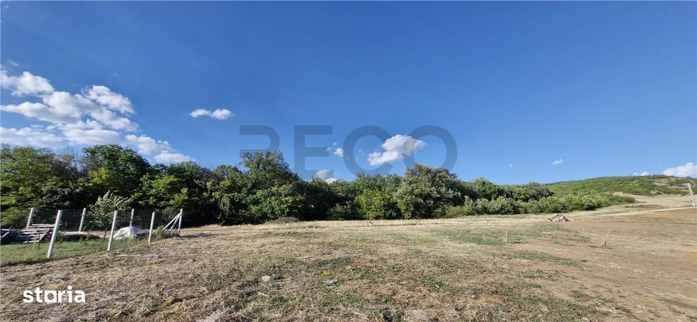 RECO Teren intravilan in Betfia, 1001 mp, front 18.30 ml la asfalt