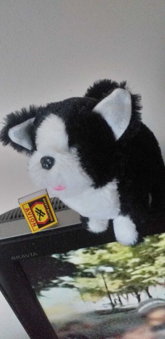 игрушка -Собачка, домашний питомец