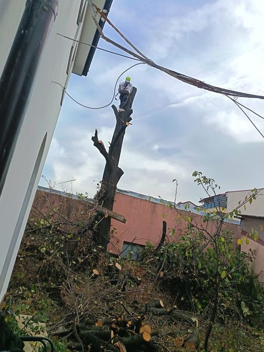 Servicii de curățenie generală apartamente