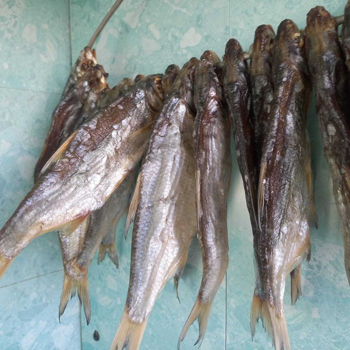 Рыбец сушёный (маленький размер)