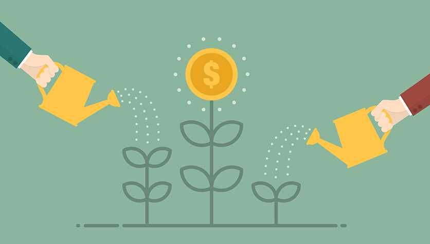 Halol Investor kerak.