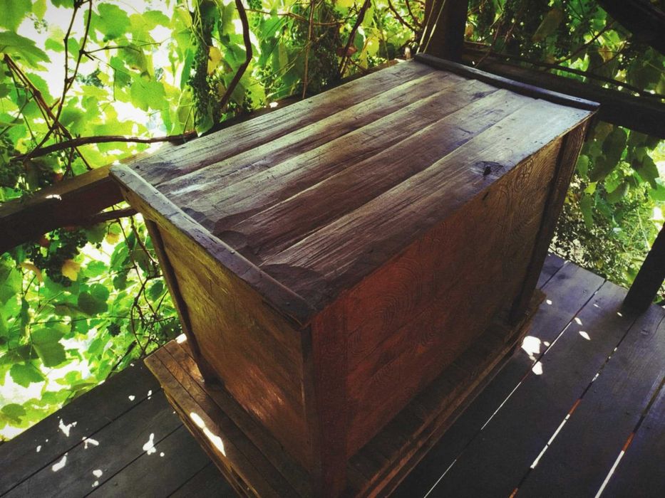 Реставрирана ракла, сандък за чеиз от края на 19-ти век. Топ състояние