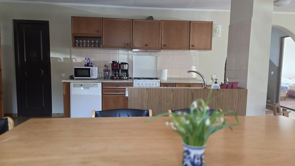 Cabana Tisieu - Ibanesti