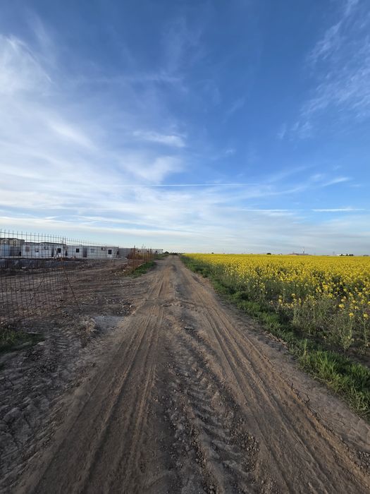 Teren 594 mp intravilan constructii P+2 str. Scolii, Popesti Leordeni