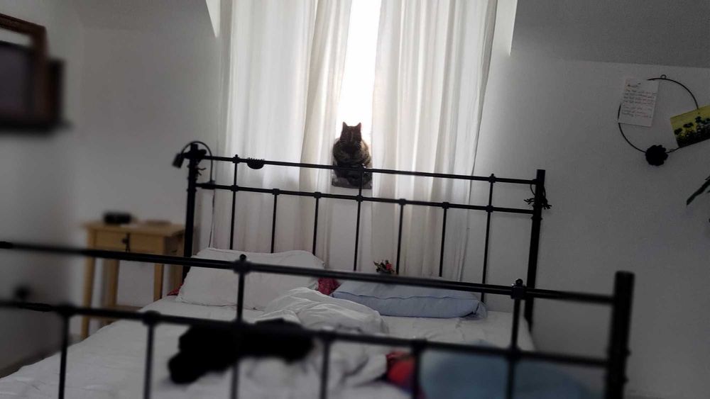 Pat IKEA SVELVIK 160x200 cu somieră inclusă