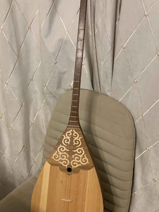 Профессиональная домбыра