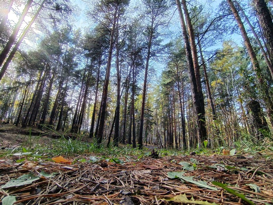 Продаю Honor 400 Lite новый!