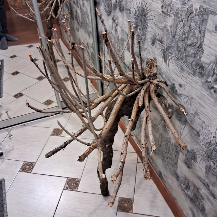 Коряга в аквариум