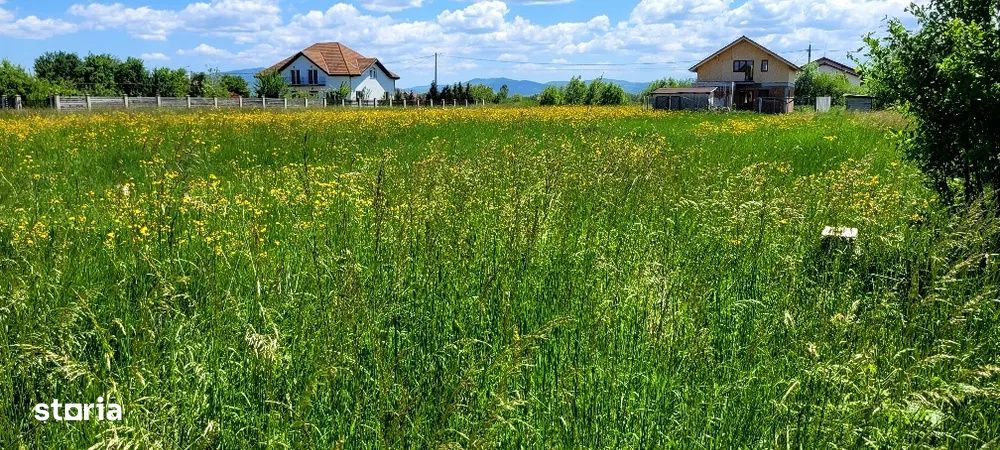 Teren Intravilan Podul Olt