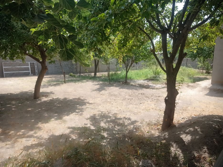 Aralovul mahallasidan 6 sutikli uchastka sotiladi,