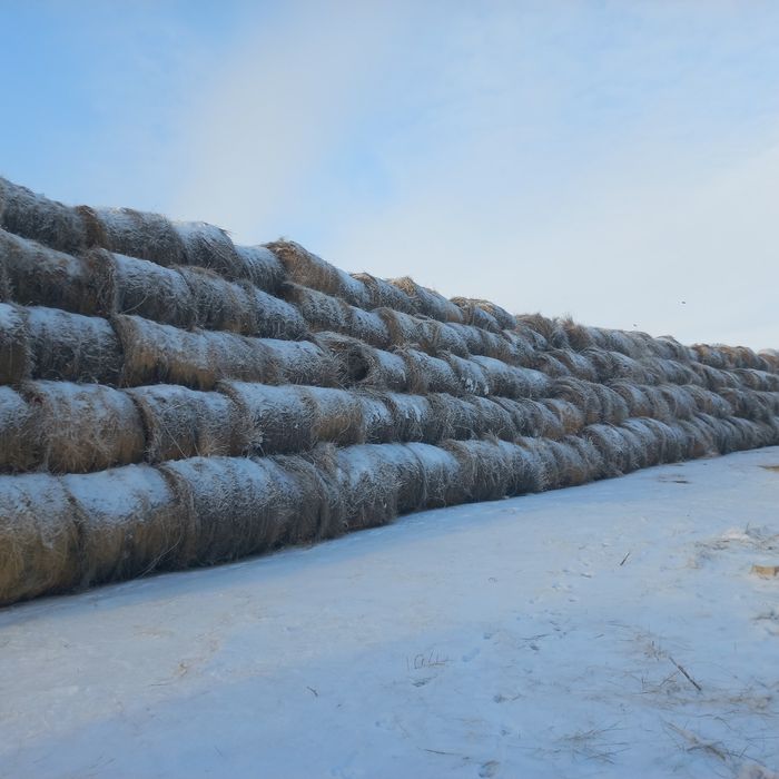 Сено  житняк  в рулонах