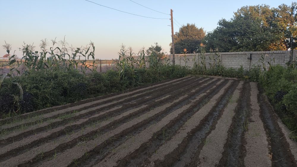 Огромная дача 2га