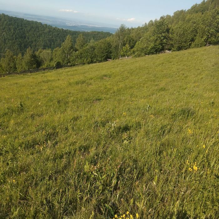 Teren intravilan in Plopi com. Valea Ierii