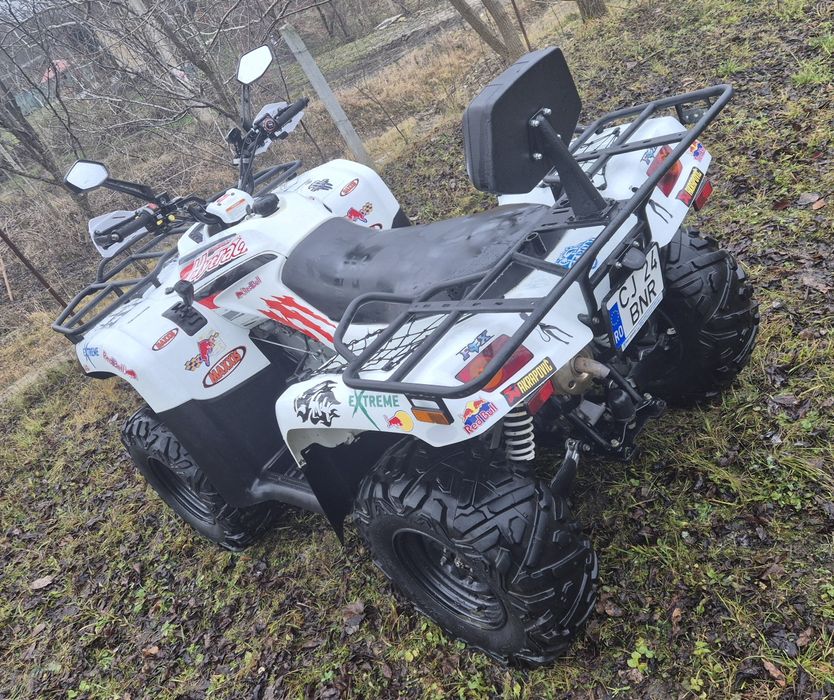 Dinli centhor 600 4x4