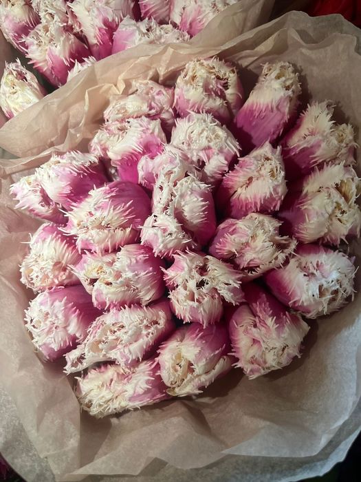 Тюльпаны   Белоруссия  от 700