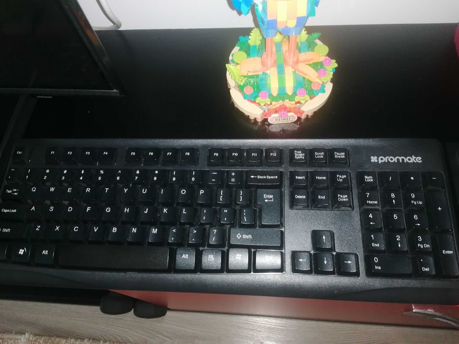 2 tastaturi și 4 mouse