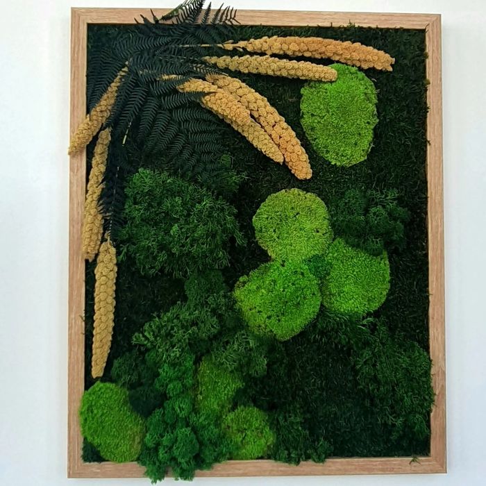 Tablou Licheni mușchi si plante