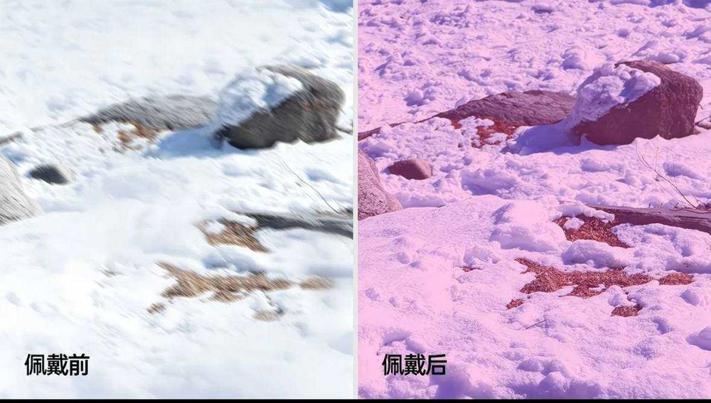 Горнолыжные очки женские KAPVOE