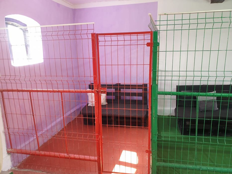 Cazare câini , pensiune canină