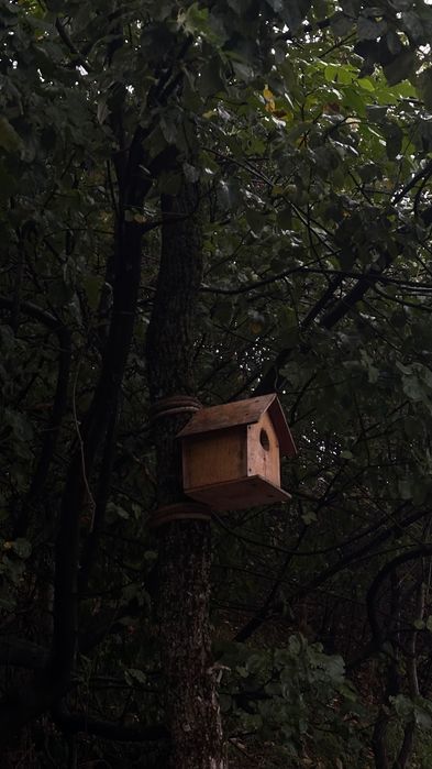 Комплект Sony 6400