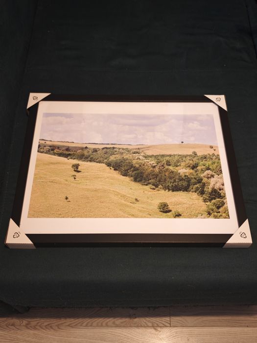 Tablou natura 50x40