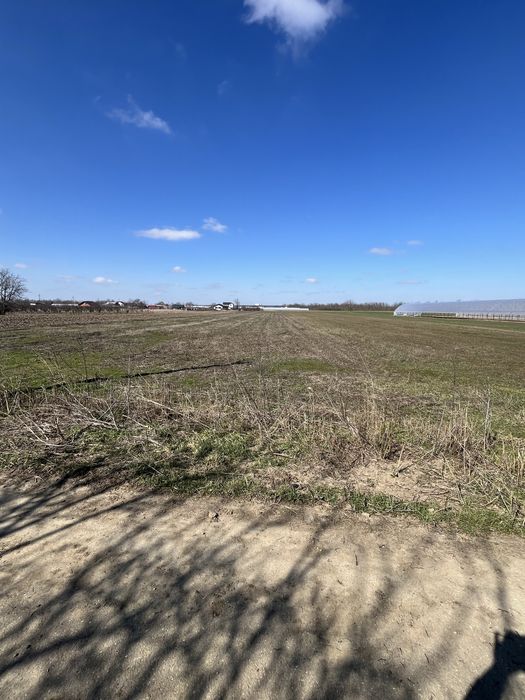 Teren intravilan de vanzare / parcelat