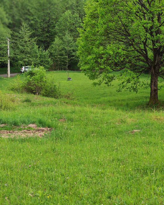 Teren Ibănești/Tireu