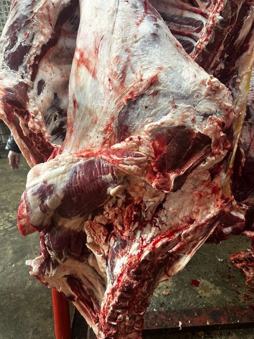 Мясо говядины баранины и конины