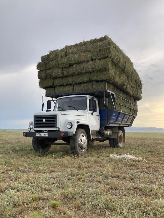 Сено в тюках и в рулонах.