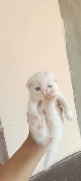 Mening shirin xotinim va uning dostlari porno