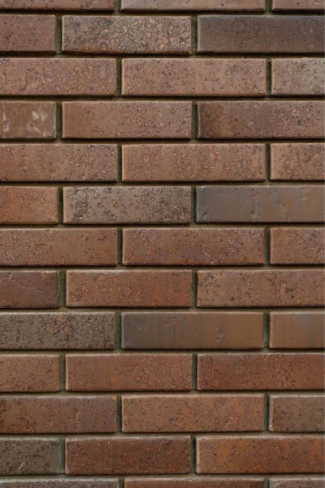 Тайга юг Марион ликолор