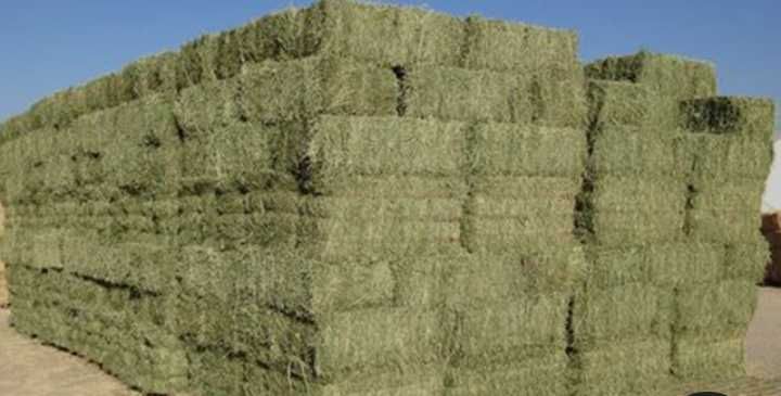 Vând baloți lucernă