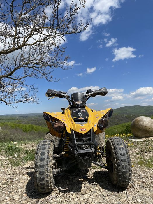 CanAm Ds250 Bombardier