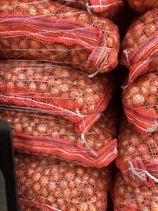 Vand arpagic stuttgarter