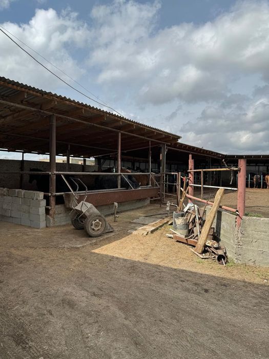 Турғын Уй ,мал кора  ,кен жеримен