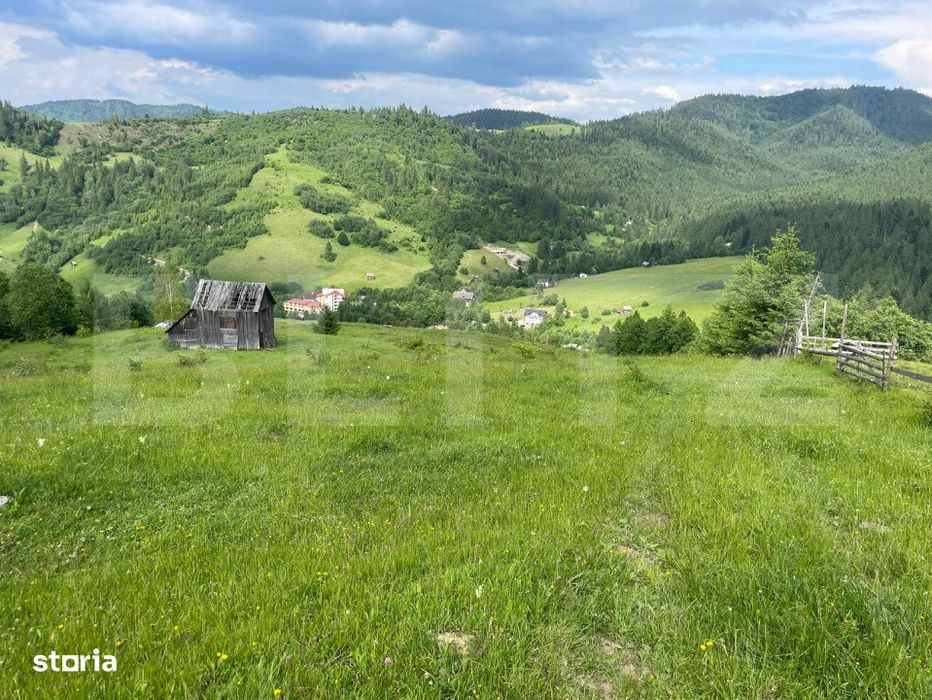 Teren de vanzare, 2 ha - Campulung Moldovenesc, zona Sandru