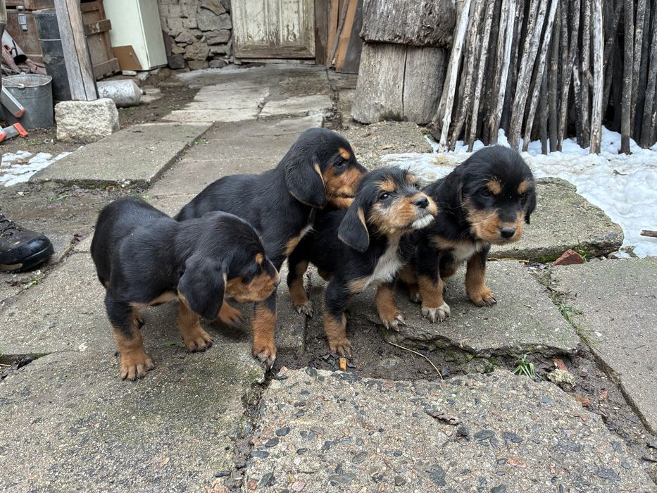 Бараци от работещи родители